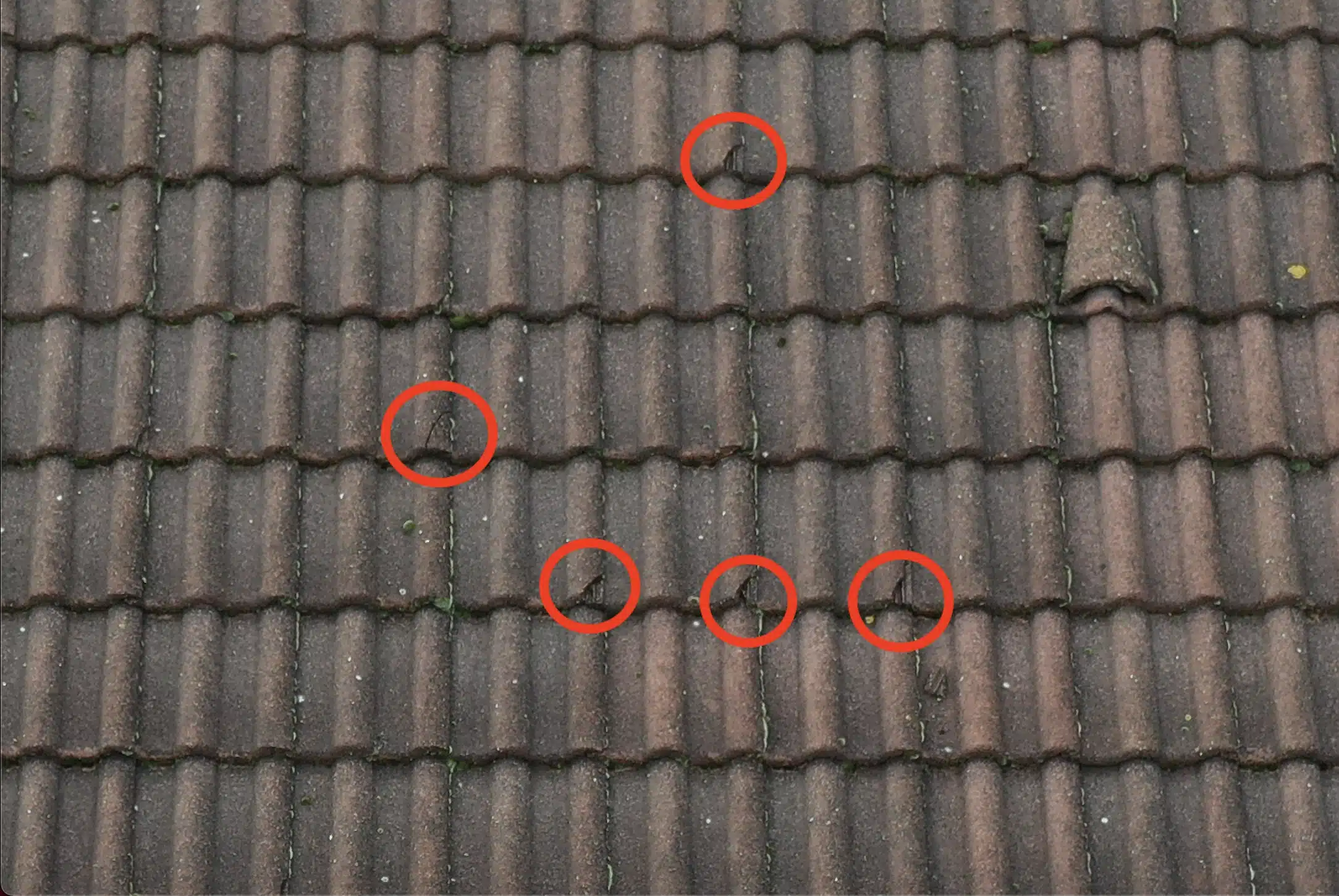 Image représentant l'image d'une expertise effectuée par drone sur Lille